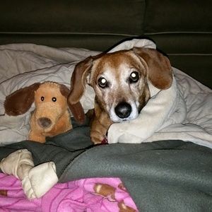 Meet your Posher, Amy